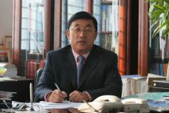 有序合作和团队合