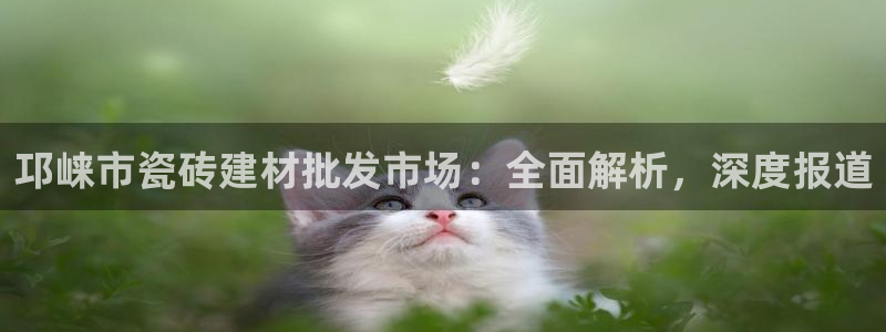 杏鑫平台怎么样