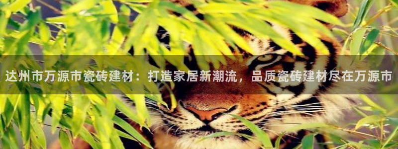 杏鑫平台平台娱乐