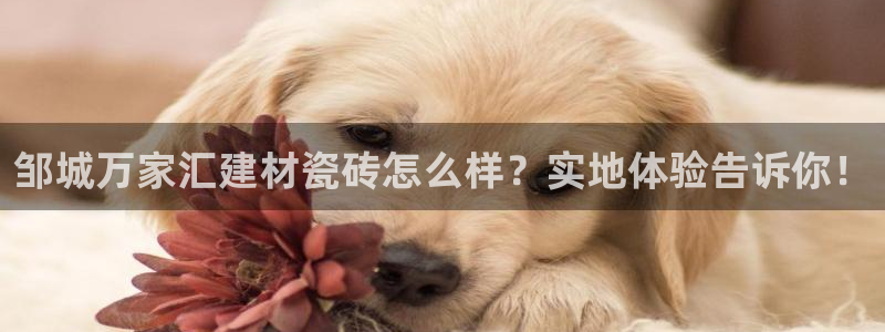 杏鑫平台怎么样黑钱吗安全吗是真的吗