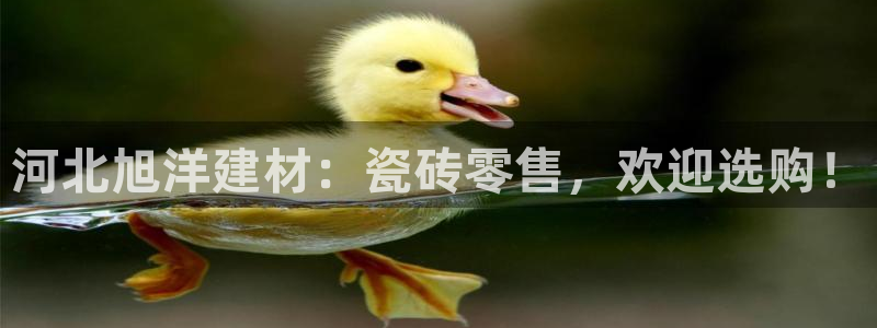 杏鑫平台代理怎么样可靠吗