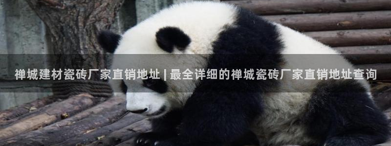 杏鑫娱乐官方网站客户端