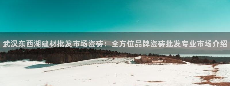 杏鑫平台测速怎么样