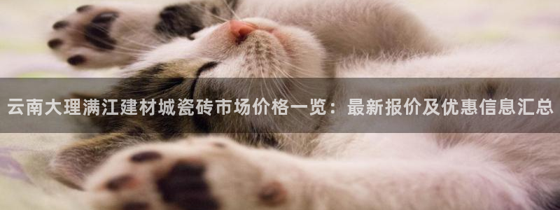 杏鑫平台代理