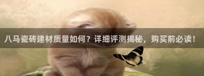 杏鑫平台直属