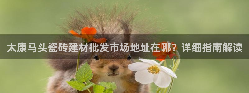 杏鑫平台正规吗是真的吗