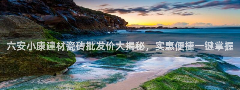 杏鑫招商总代