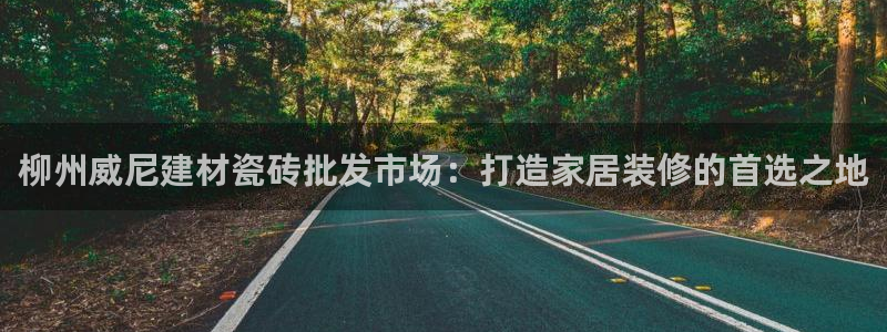 杏鑫平台代理怎么做的