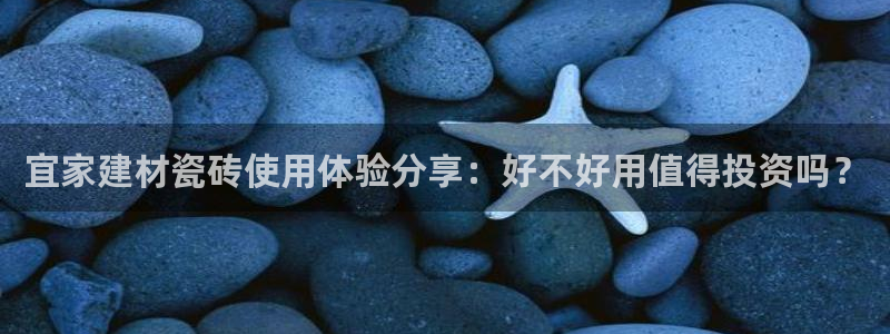 杏鑫娱乐开发团队