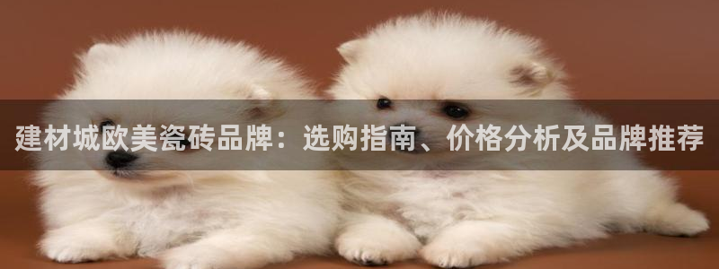 杏鑫平台注册网址