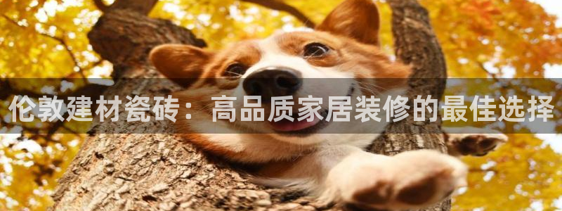 杏鑫官方平台怎么样啊