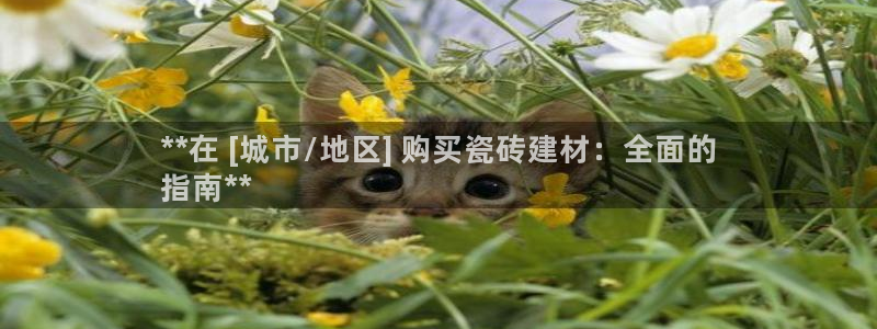 杏鑫手机客户端怎么下载