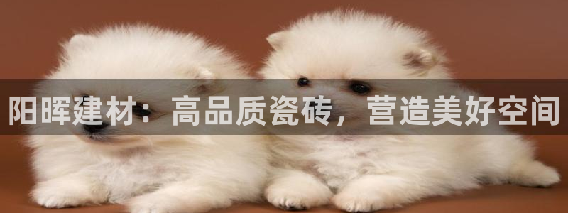 杏鑫平台代理怎么样啊