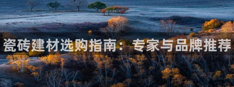 杏鑫平台下载安装