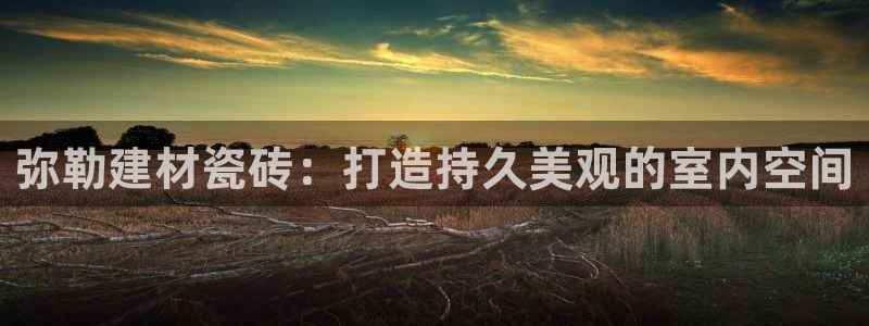 杏鑫官网