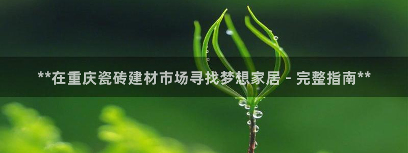 杏鑫平台是黑平台吗