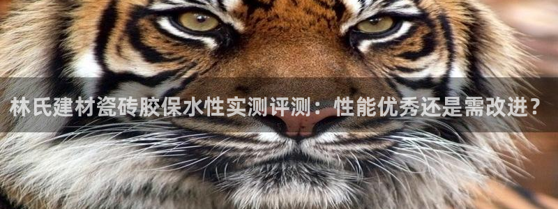 杏鑫平台代理