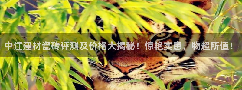 杏鑫娱乐是真的吗