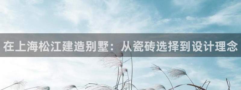 杏鑫平台怎么样知乎