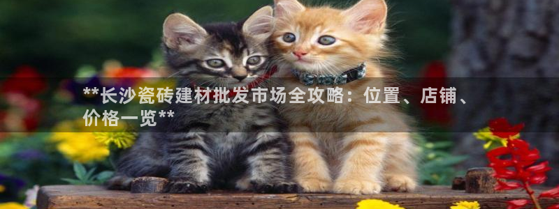 杏鑫官方平台怎么样
