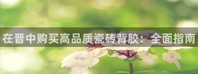 杏鑫平台招商电话号码