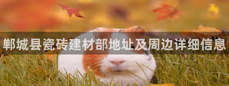 杏鑫平台怎么样黑钱吗知乎