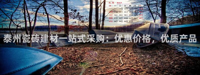 杏鑫平台平台