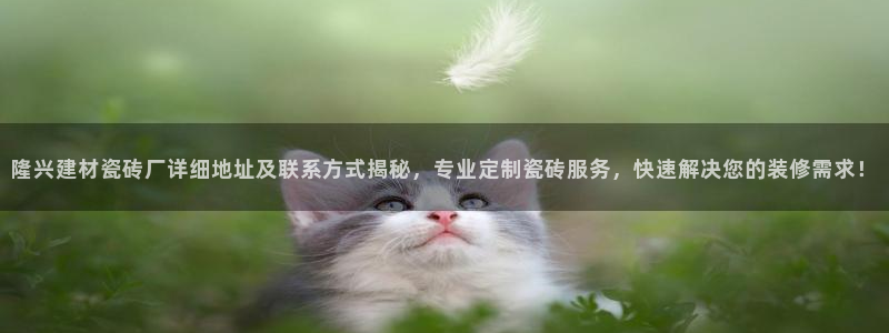 杏鑫官网最新信息