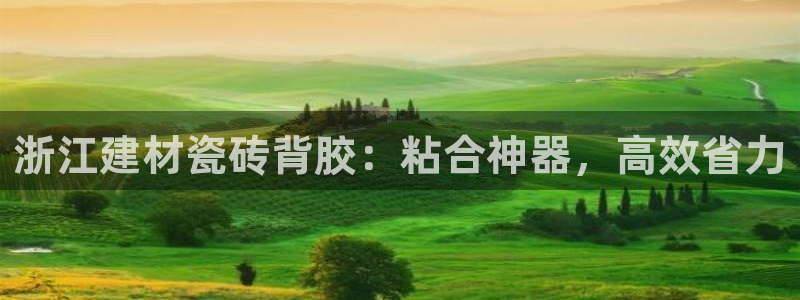 杏鑫平台线路测速