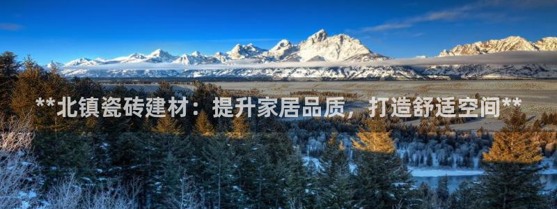 杏鑫官方平台怎么样啊