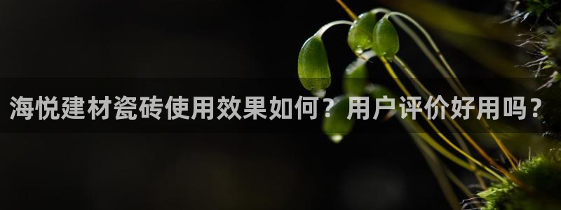 杏鑫官方平台怎么样